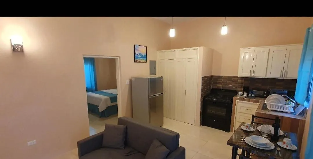 Sorina'S Apartments Ocho Rios
